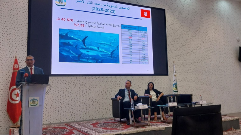 في ندوة صحفية..   وزارة الفلاحة تكشف تفاصيل تحضيرات عيد الأضحى.. موسم الحصاد وصيد التنّ الأحمر